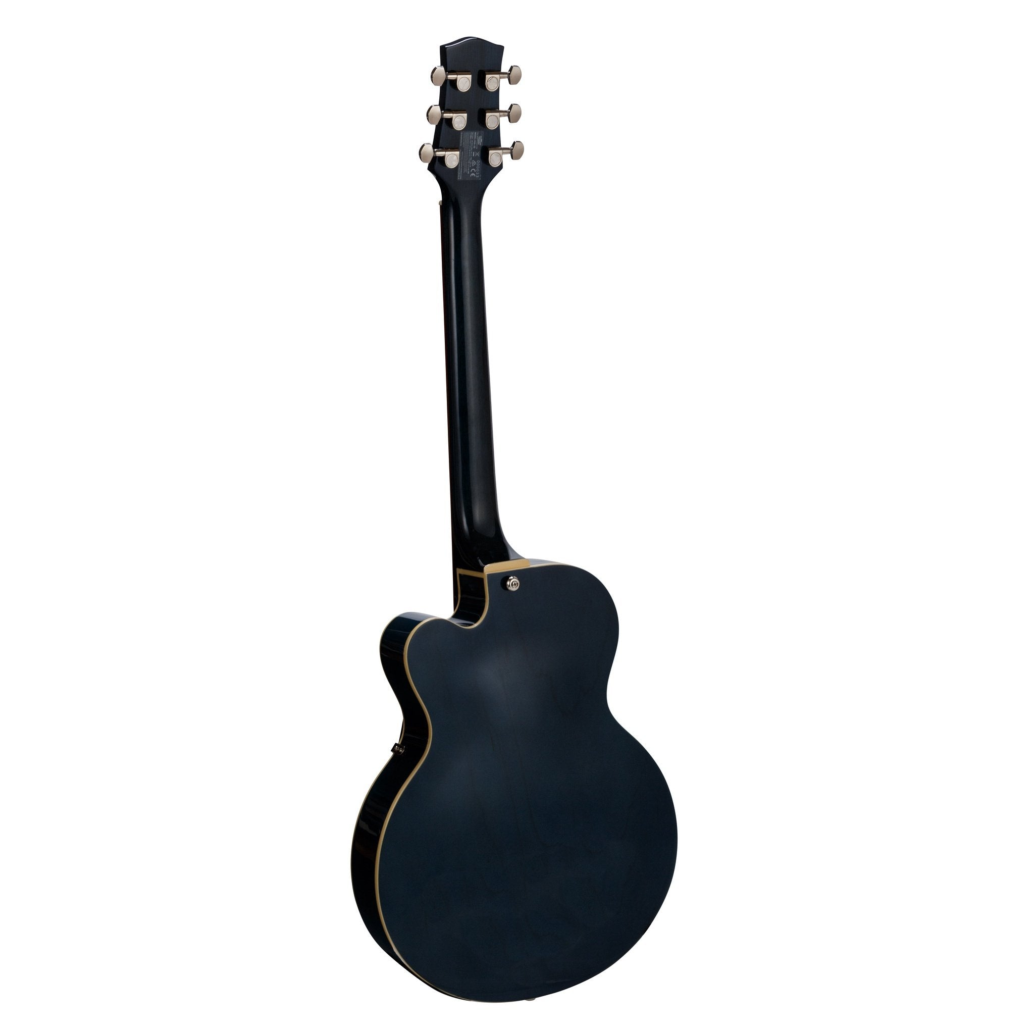 Vox Giulietta VGA-3D Archtop Guitar w/ Aeros D 6